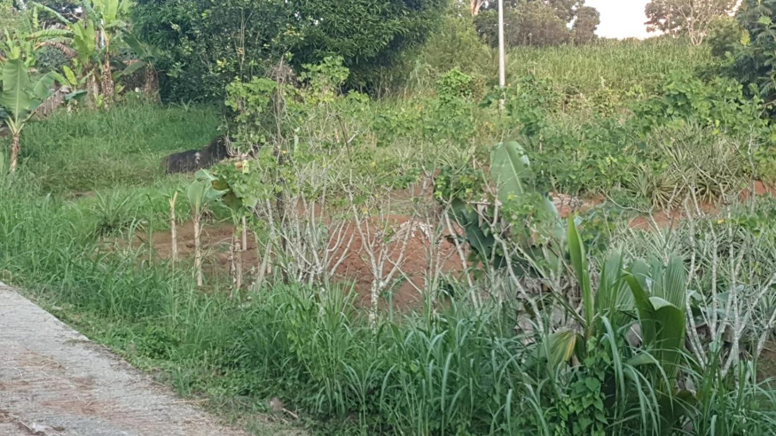 Villa Les Mahoganys Riviere-Salee Exterior foto